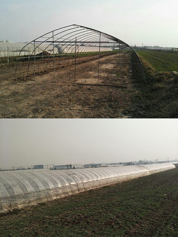 圖片2.png 圖片2.png